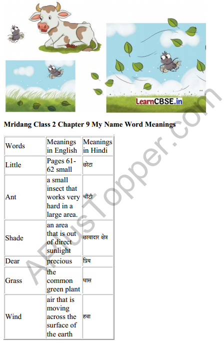 Mridang Class 2 English Solutions Chapter 9 My Name 5