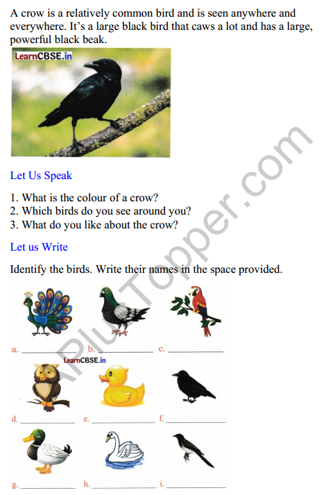 Mridang Class 2 English Worksheet Chapter 10 The Crow 1