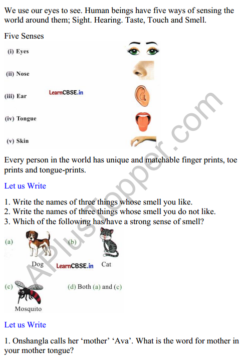 Mridang Class 2 English Worksheet Chapter 4 Seeing without Seeing 1