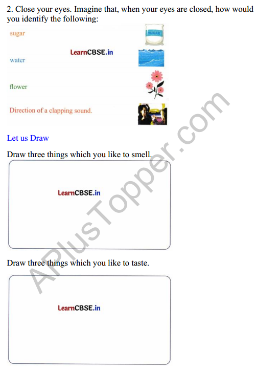 Mridang Class 2 English Worksheet Chapter 4 Seeing without Seeing 2