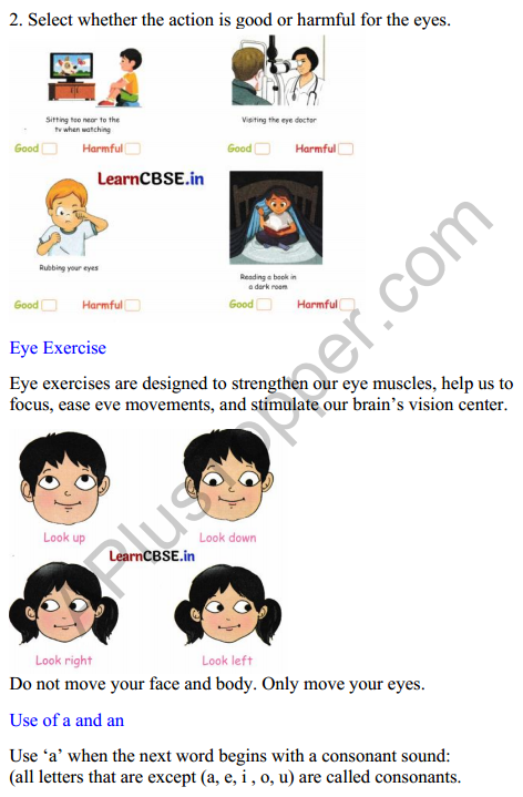 Mridang Class 2 English Worksheet Chapter 4 Seeing without Seeing 4