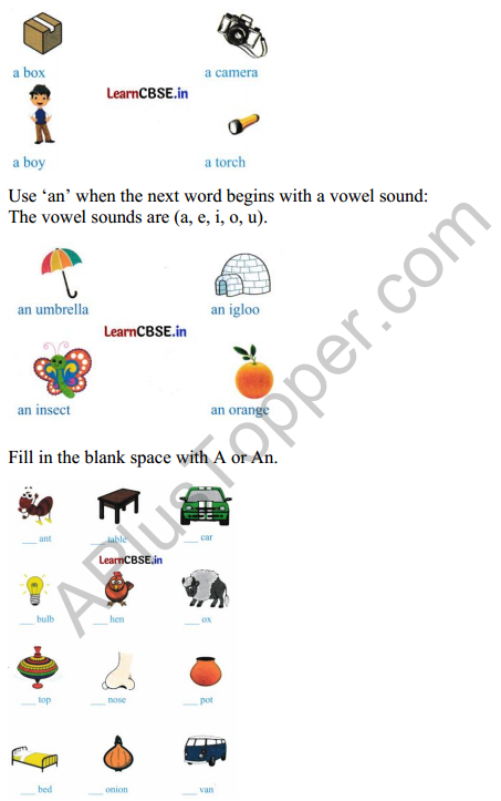 Mridang Class 2 English Worksheet Chapter 4 Seeing without Seeing 5