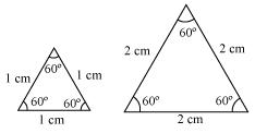 NCERT Solutions for Class 10 Maths Chapter 6