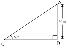 NCERT Solutions for Class 10 Maths Chapter 9 Some Applications of Trigonometry 7