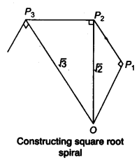 NCERT Solutions for Class 9 Maths Chapter 1 Number Systems Ex 1.2.2