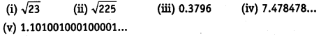 NCERT Solutions for Class 9 Maths Chapter 1 Number Systems Ex 1.3.9