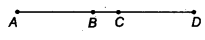 NCERT Solutions for Class 9 Maths Chapter 3 Introduction to Euclid's Geometry Ex 3.1.11