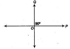 NCERT Solutions for Class 9 Maths Chapter 3 Introduction to Euclid's Geometry Ex 3.1.6