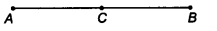 NCERT Solutions for Class 9 Maths Chapter 3 Introduction to Euclid's Geometry Ex 3.1.9