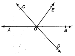 NCERT Solutions for Class 9 Maths Chapter 4 Lines and Angles Ex 4.1.1