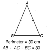 NCERT Solutions for Class 9 Maths Chapter 7 Heron's Formula Ex 7.1.9