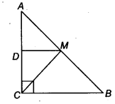 NCERT Solutions for Class 9 Maths Chapter 9 Quadrilaterals Ex 9.2.9