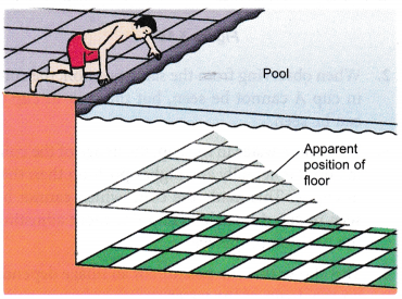 Natural Phenomenon due to Refraction of Light