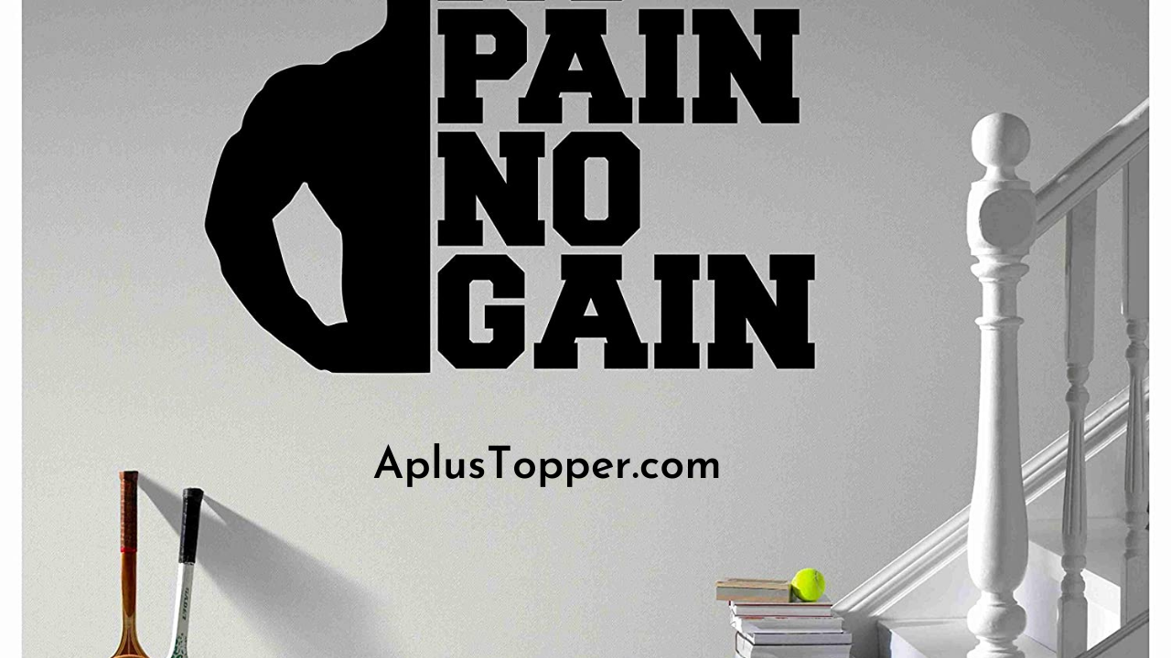 No Pain No Gain