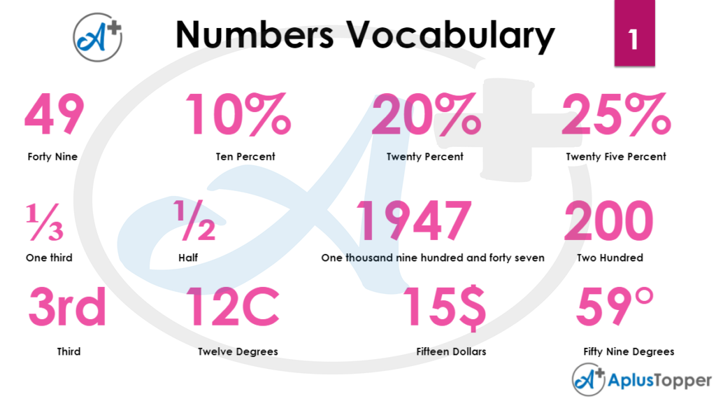 Numbers Vocabulary