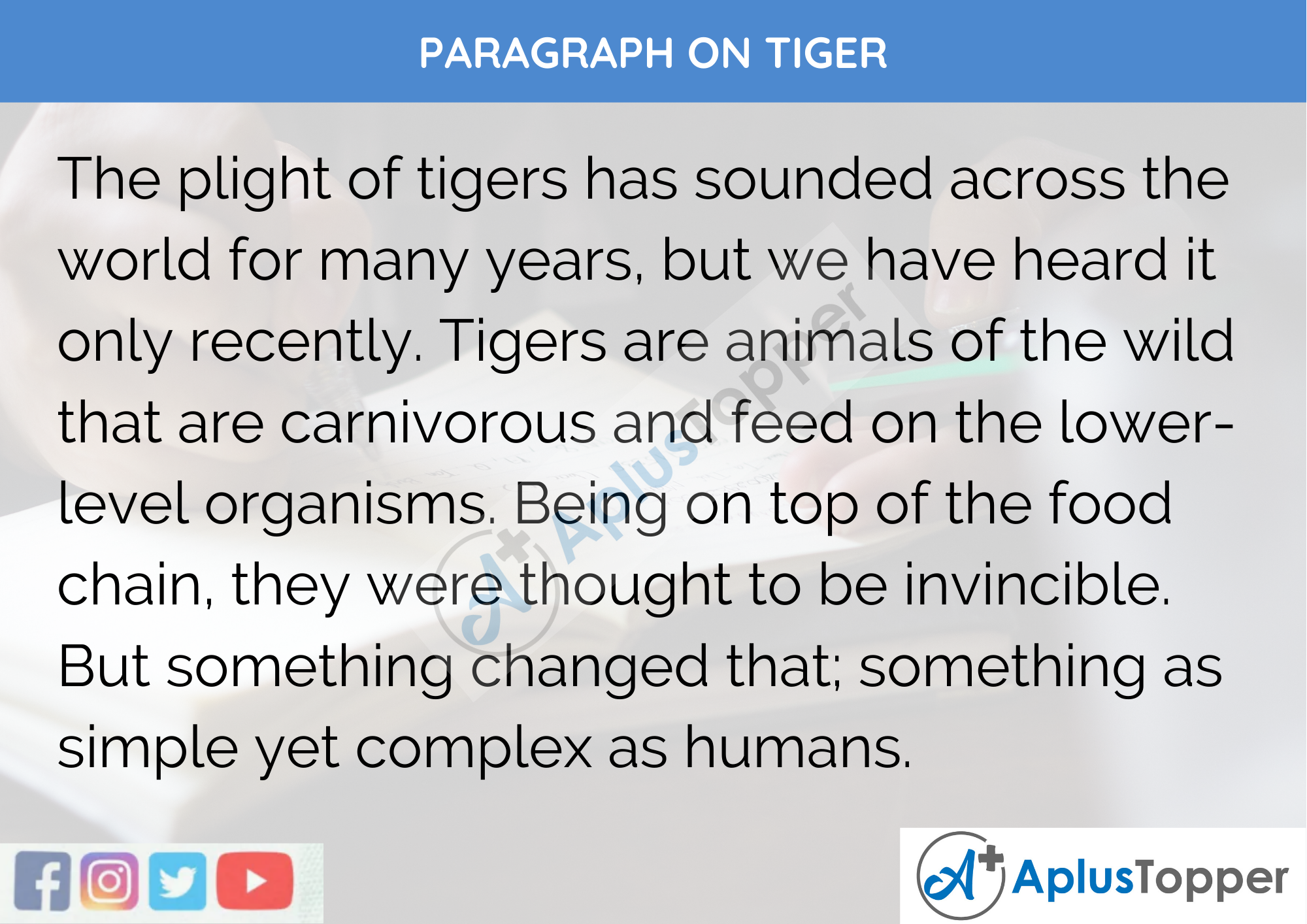 paragraph on tiger