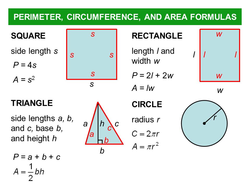 Perimeter and Circumference 2