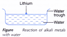 Physical and Chemical Properties of Group 1 Elements 10