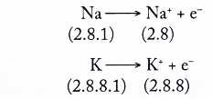 Physical and Chemical Properties of Group 1 Elements 5