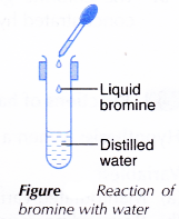 Physical and Chemical Properties of Group 17 Elements 10