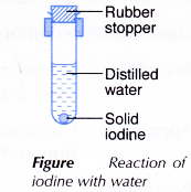 Physical and Chemical Properties of Group 17 Elements 11