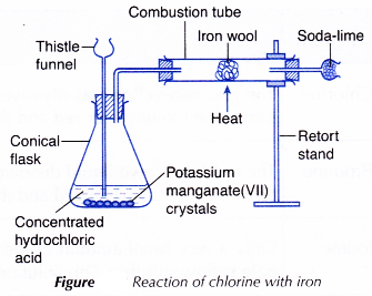 Physical and Chemical Properties of Group 17 Elements 13