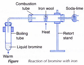 Physical and Chemical Properties of Group 17 Elements 14