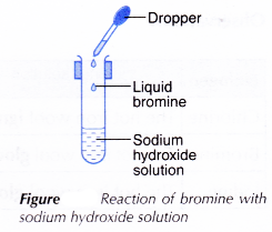 Physical and Chemical Properties of Group 17 Elements 18