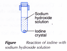 Physical and Chemical Properties of Group 17 Elements 19