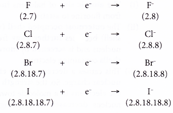 Physical and Chemical Properties of Group 17 Elements 3