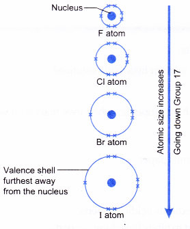 Physical and Chemical Properties of Group 17 Elements 4