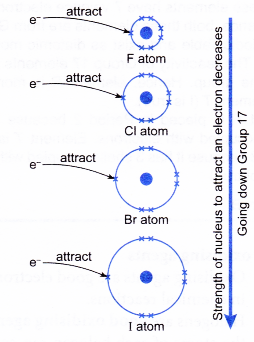 Physical and Chemical Properties of Group 17 Elements 5