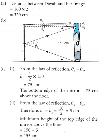 Plane Mirror Example Problems 3