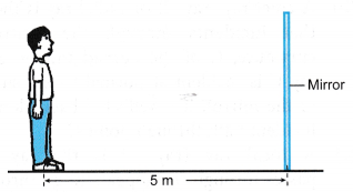 Plane Mirror Example Problems 4