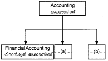 Plus One Accountancy AFS Previous Year Question Paper March 2018, 1