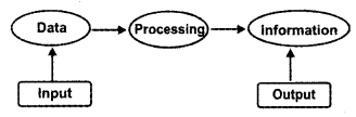 Plus One Accountancy Chapter Wise Previous Questions Chapter 10 Applications of Computers in Accounting March 2016 Q2.1