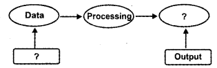 Plus One Accountancy Chapter Wise Previous Questions Chapter 10 Applications of Computers in Accounting March 2016 Q2