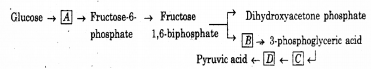 Plus One Botany Chapter Wise Previous Questions Chapter 10 Respiration in Plants 4