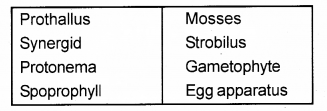 Plus One Botany Chapter Wise Previous Questions Chapter 2 Plant Kingdom 1