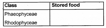 Plus One Botany Chapter Wise Previous Questions Chapter 2 Plant Kingdom 2