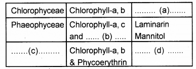 Plus One Botany Chapter Wise Previous Questions Chapter 2 Plant Kingdom 4