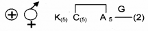 Plus One Botany Chapter Wise Previous Questions Chapter 3 Morphology of Flowering Plants 16