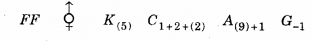 Plus One Botany Chapter Wise Previous Questions Chapter 3 Morphology of Flowering Plants 17