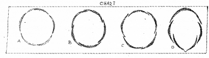 Plus One Botany Chapter Wise Previous Questions Chapter 3 Morphology of Flowering Plants 4