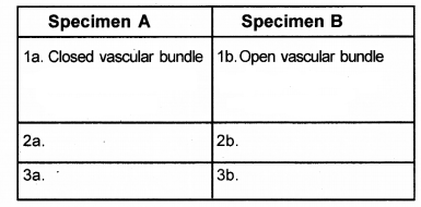 Plus One Botany Chapter Wise Previous Questions Chapter 4 Anatomy of Flowering Plants 2