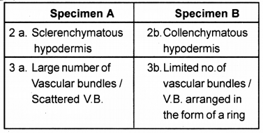 Plus One Botany Chapter Wise Previous Questions Chapter 4 Anatomy of Flowering Plants 3