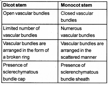 Plus One Botany Chapter Wise Previous Questions Chapter 4 Anatomy of Flowering Plants 7