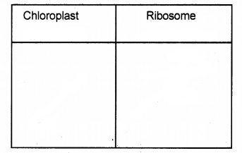 Plus One Botany Chapter Wise Previous Questions Chapter 5 Cell The Unit of Life 11