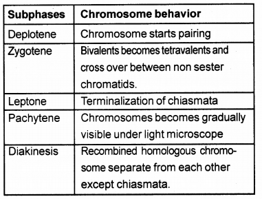 Plus One Botany Chapter Wise Previous Questions Chapter 6 Cell Cycle and Cell Division 5