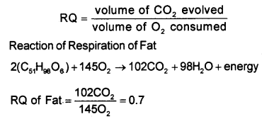 Plus One Botany Chapter Wise Questions and Answers Chapter 10 Respiration in Plants Textbook Questions Q3